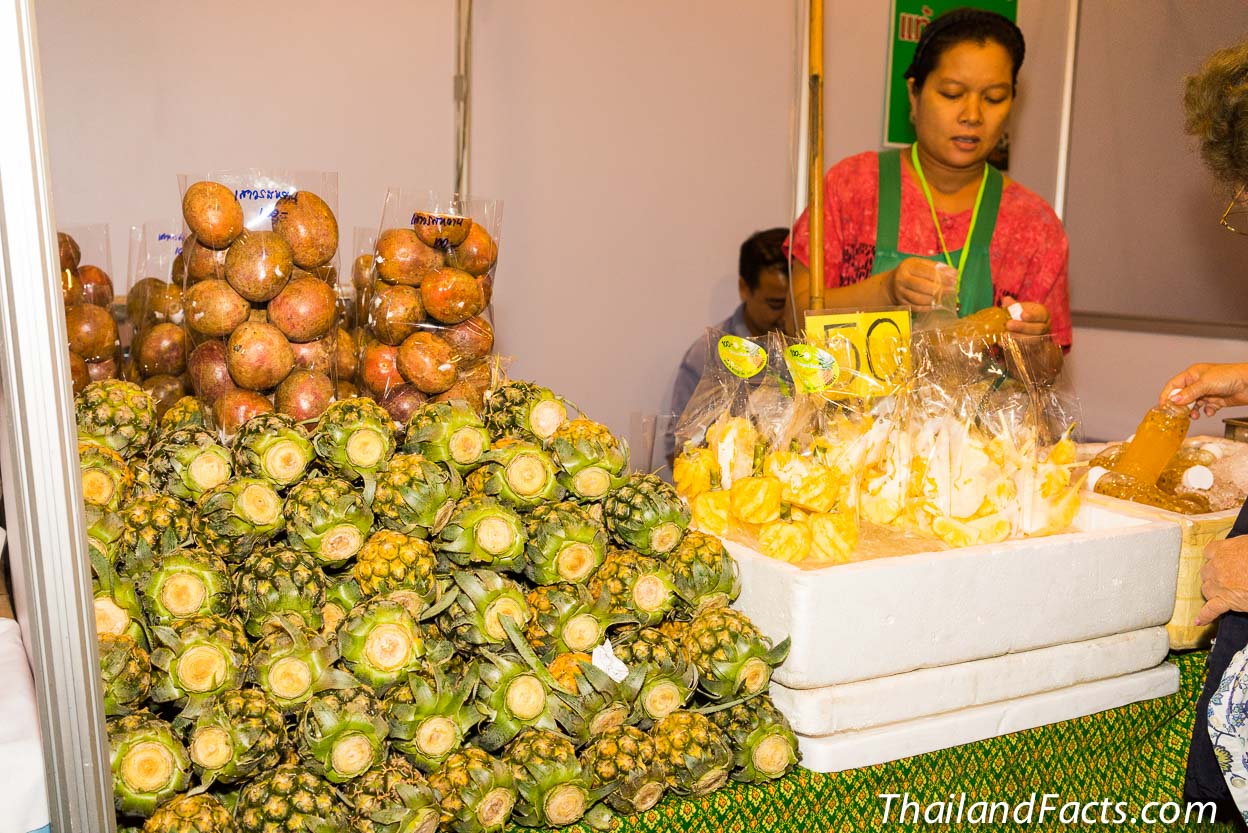 Organic-Expo-Bangkok-2014-Thailand-Queen-Sirikit-8