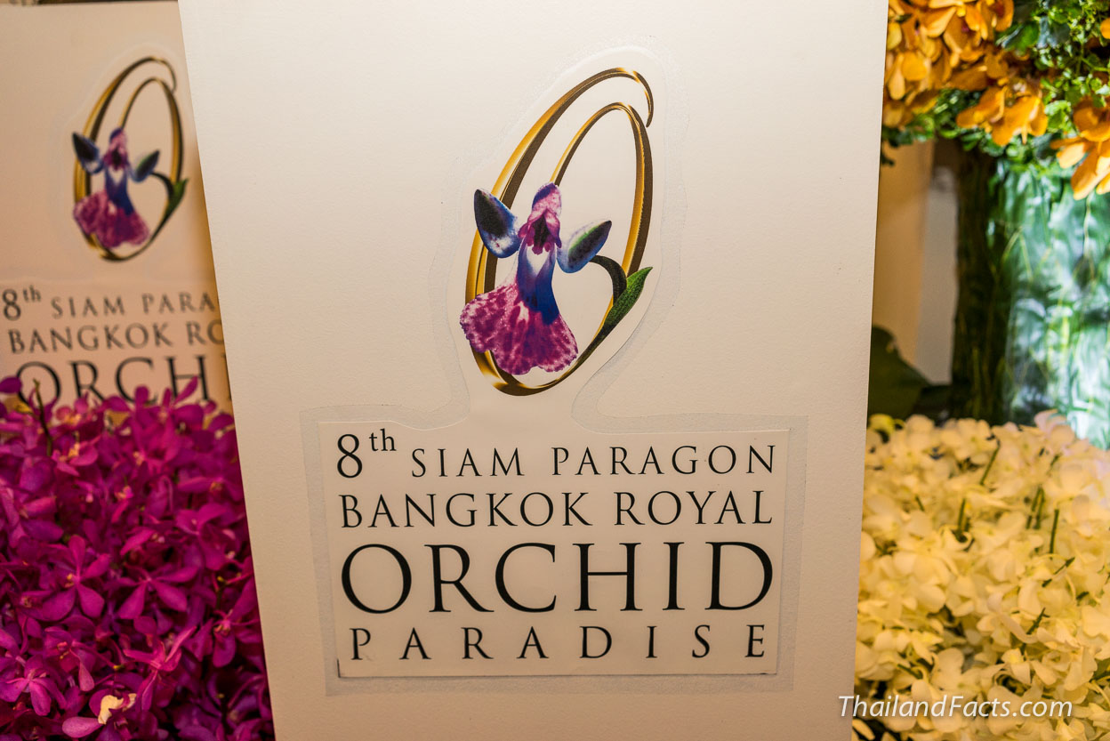 Royal-Orchid-Paradise-2014-8th-Siam-Paragon-Bangkok-30